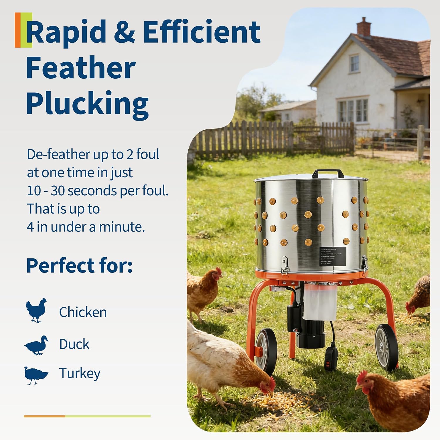 Chicken Plucker Machine - Macchina spiumatrice per polli in acciaio