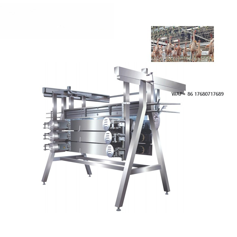 Spiumatrice per Polli, Attrezz - Chicken Plucker Machine recensione e prezzo